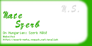 mate szerb business card