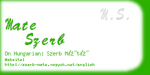 mate szerb business card